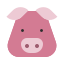 http://dangno.kr/data/apms/background/icon_pig.png